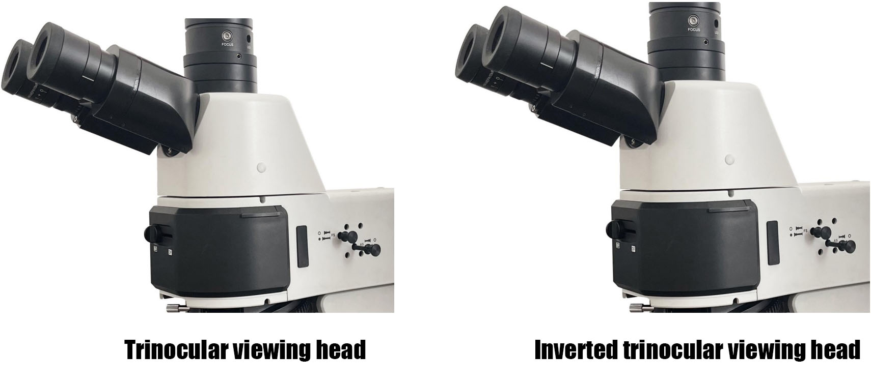 Elektronenmetallographisches Mikroskop