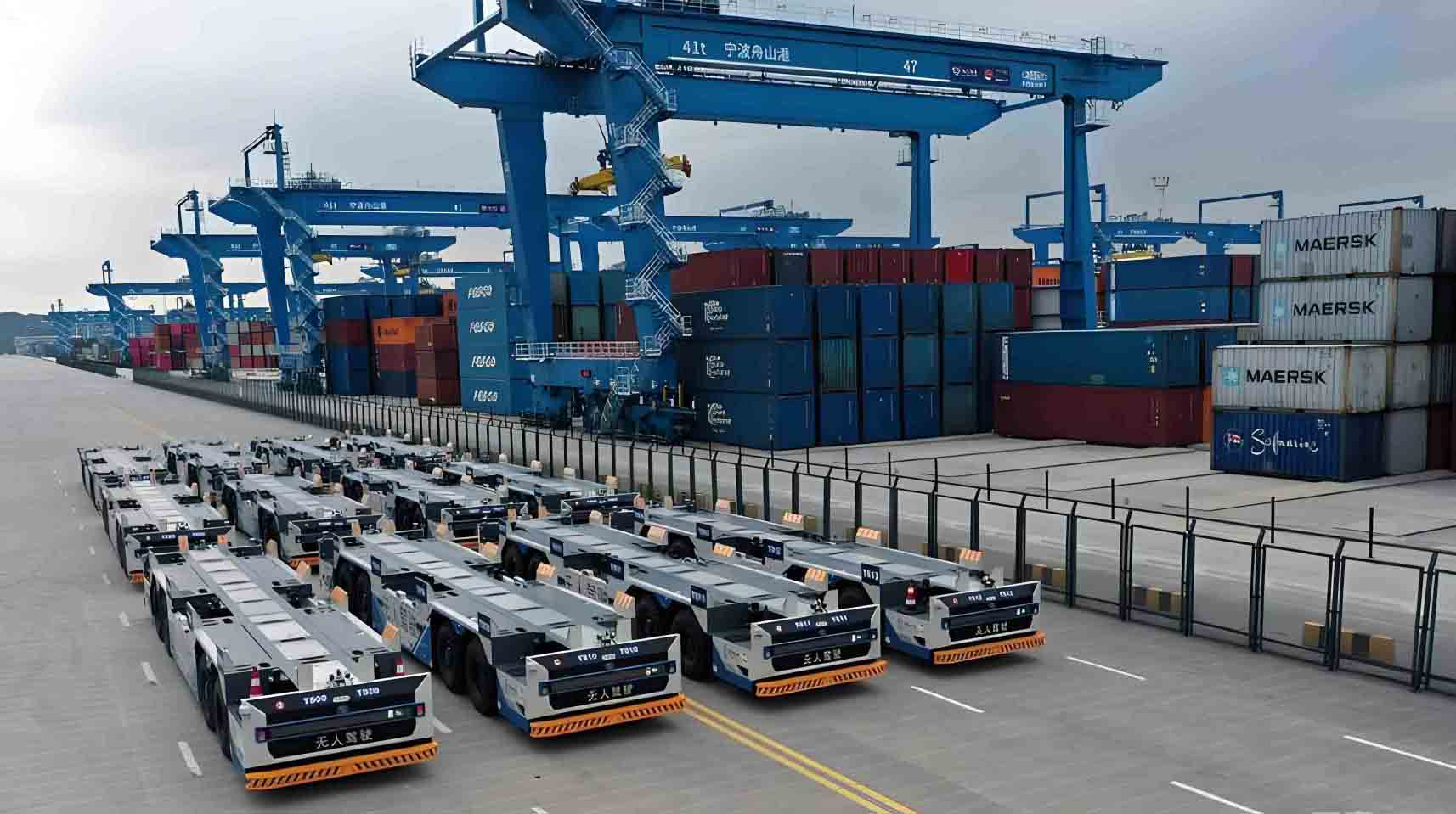 cargo carrying robot