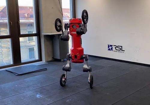 Der von Swiss-Mile entwickelte vierbeinige Roboter kann autonom stehen, rollen und liefern
