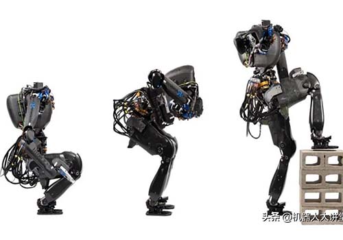 Bester zweibeiniger humanoider Roboter inszenierte „Box-Reality-Show“
        