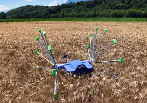 Der SentiV-Roboter kann über Felder fahren und sich selbst rollen, um Ernten zu inspizieren