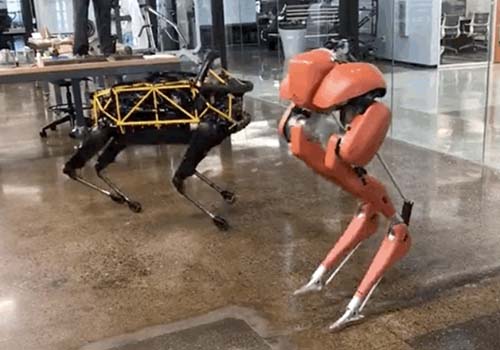 Schockiert! Der zweibeinige Roboter Cassie bricht den Guinness-Weltrekord für 100 Meter in 24,73 Sekunden
