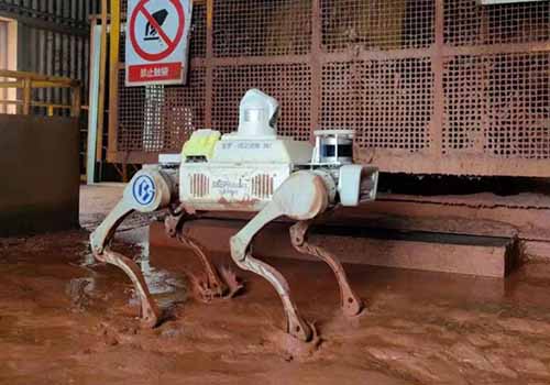 Raue Umgebung setzt Arbeitskräfte frei, TR4D-20-Roboterhund geht bei Baosteel Co., Ltd. für einen tatsächlichen Kampftest online
